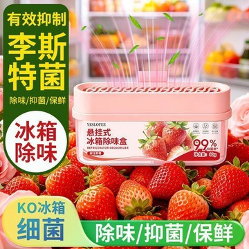 🌈百貨精選🌈懸掛式冰箱除味盒抑菌除臭淨化去除異味家用除味劑抑李斯特菌神器