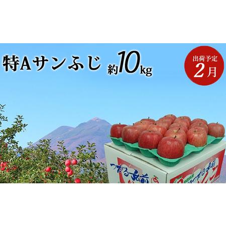 ふるさと納税 2月発送 特A サンふじ 約10kg  青森県弘前市