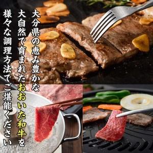 ふるさと納税 おおいた 和牛 3種 セット (合計1.66kg・サーロインステーキ180g×2枚・ウデ肉700g・焼肉300g×2P) 国産 豊後牛 BBQ 赤身 .. 大分県佐伯市