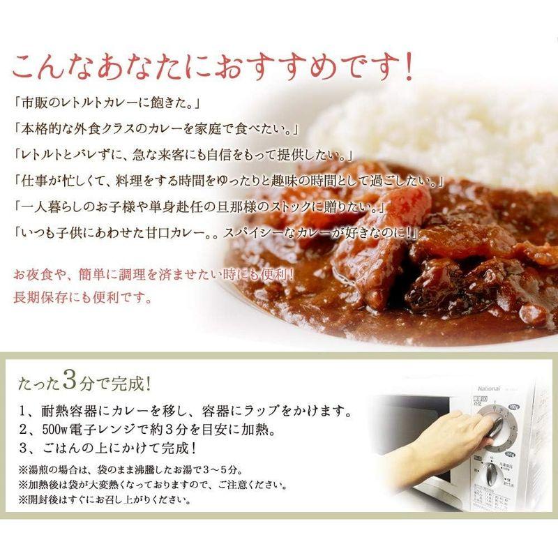 博多若杉 カレーセット 牛すじカレー レトルトカレー まとめ買いセット 200g 12パック 中辛 (牛すじカレー)