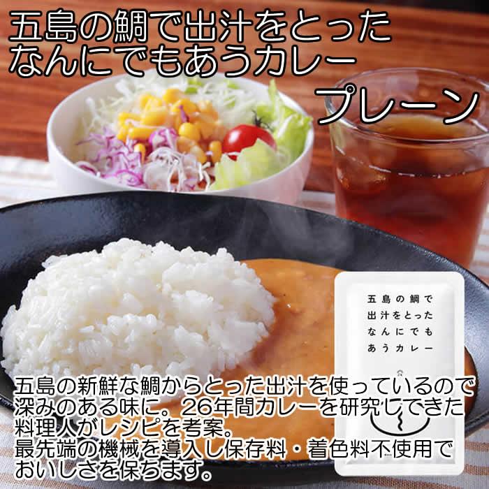 ベルカレー研究所 大阪風甘辛味＆五島の鯛で出汁をとったカレー 計3食詰め合わせセット レトルトカレー 中辛