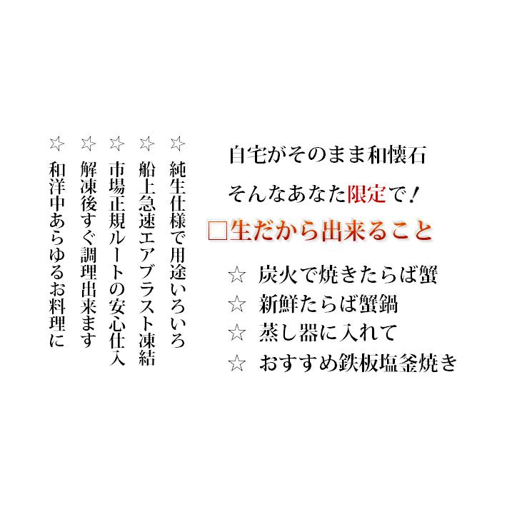 特大 生たらば蟹 800ｇ シュリンク ５肩 （計4.0kg) たっぷり １０〜１５人前