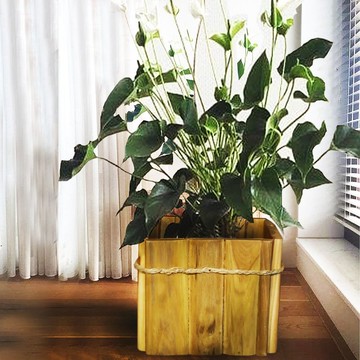 【吉迪市100%全柚木家具】LT-090B 柚木簡約花桶 置物桶 收納桶