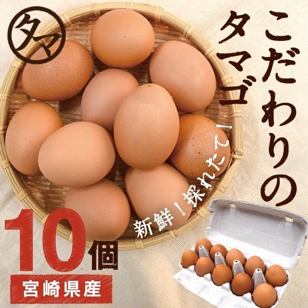 恵農場 高崎のめぐみ 10個 (赤卵)