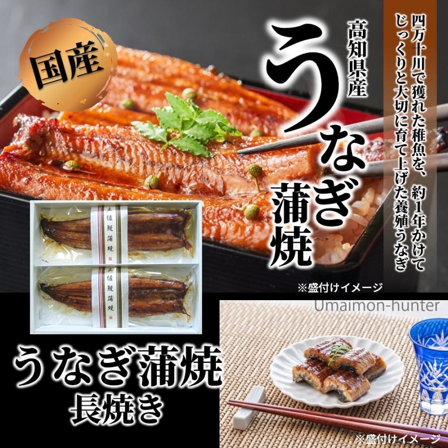 箱入り 高知県産 うなぎ蒲焼 長焼き 110g×2尾 DHA EPA ビタミンA豊富