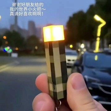 🔥臺灣出貨🔥我的世界火把燈宿捨小夜燈遙控火炬夜燈充電礦燈變色瓶模型可髮光