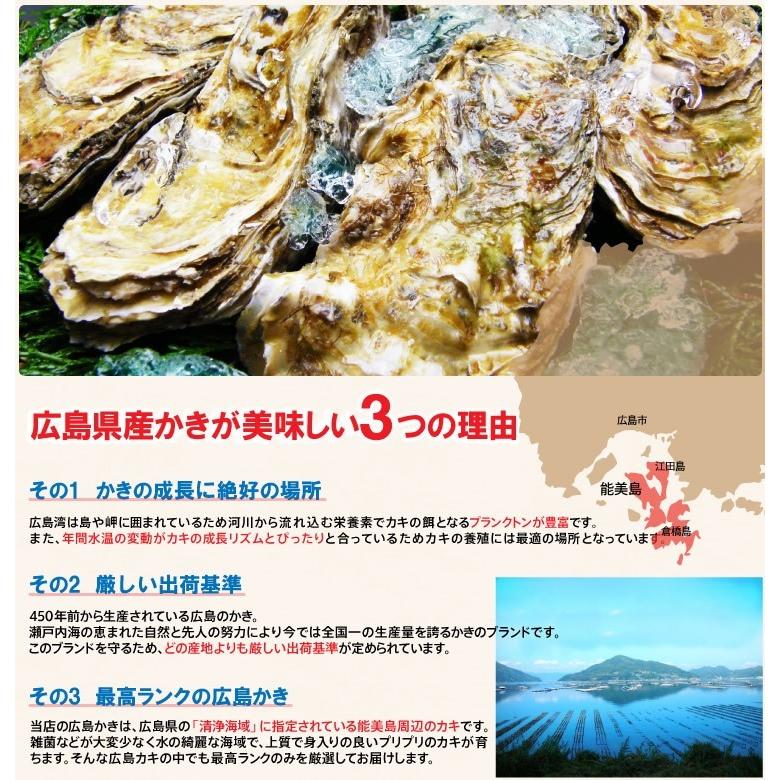 かき 牡蠣 2kg 1kgあたり2899円 2L ジャンボ 広島かき 剥き身2kg 正味1.7kg 広島県能美島周辺 清浄海域産 広島かき 約60粒 剥身 IQF個別冷凍 加熱用