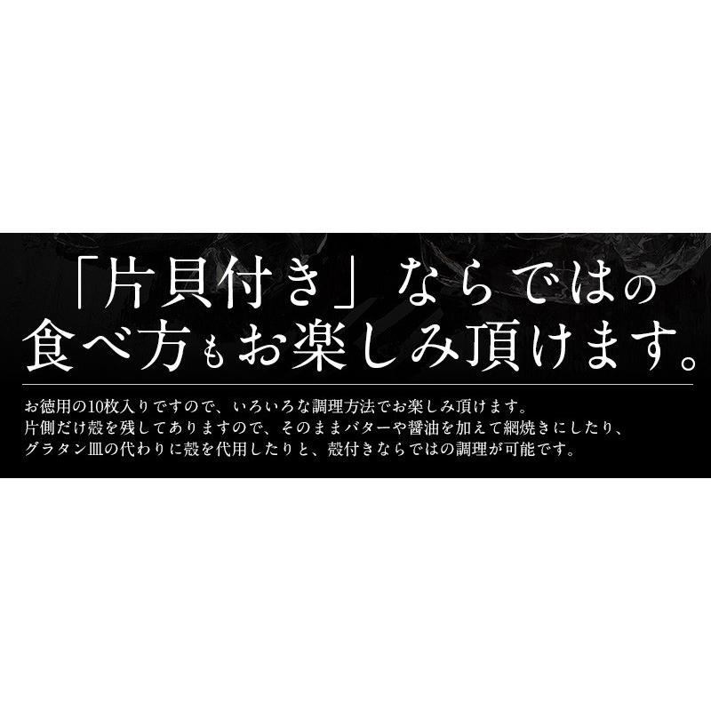 ホタテ ほたて 殻付き 10枚 北海道産 片貝 帆立 冬グルメ 冬ギフト