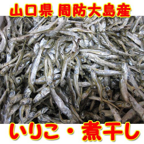 業務用 山口県 周防大島産 お徳用 いりこ 1kg 煮干し