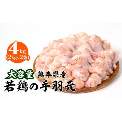 ふるさと納税 八代市 熊本県産 若鶏の手羽元 2kg 2袋 合計4kg