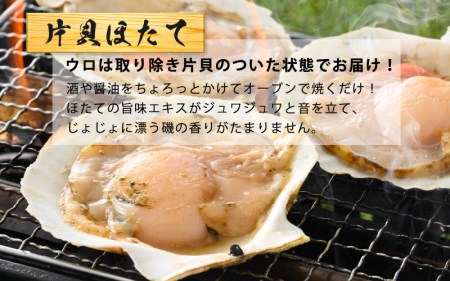 海鮮 BBQ おつまみセット「越前えび ＆ 片貝ほたて」約4～5人前（越前えび500g 片貝ほたて10枚） [e04-a063]