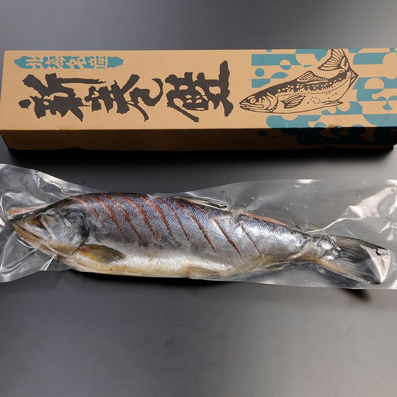 新巻鮭姿切れ目入り1.6?＆いくら醤油漬け100g