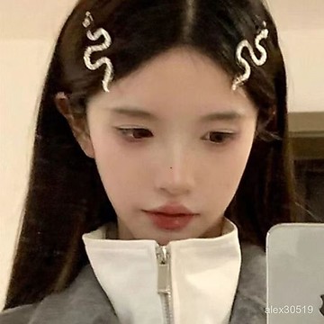 臺灣出貨📦闇黑風酷辣少女髮飾銀色蛇形髮夾一字夾歐美氣質劉海夾潮