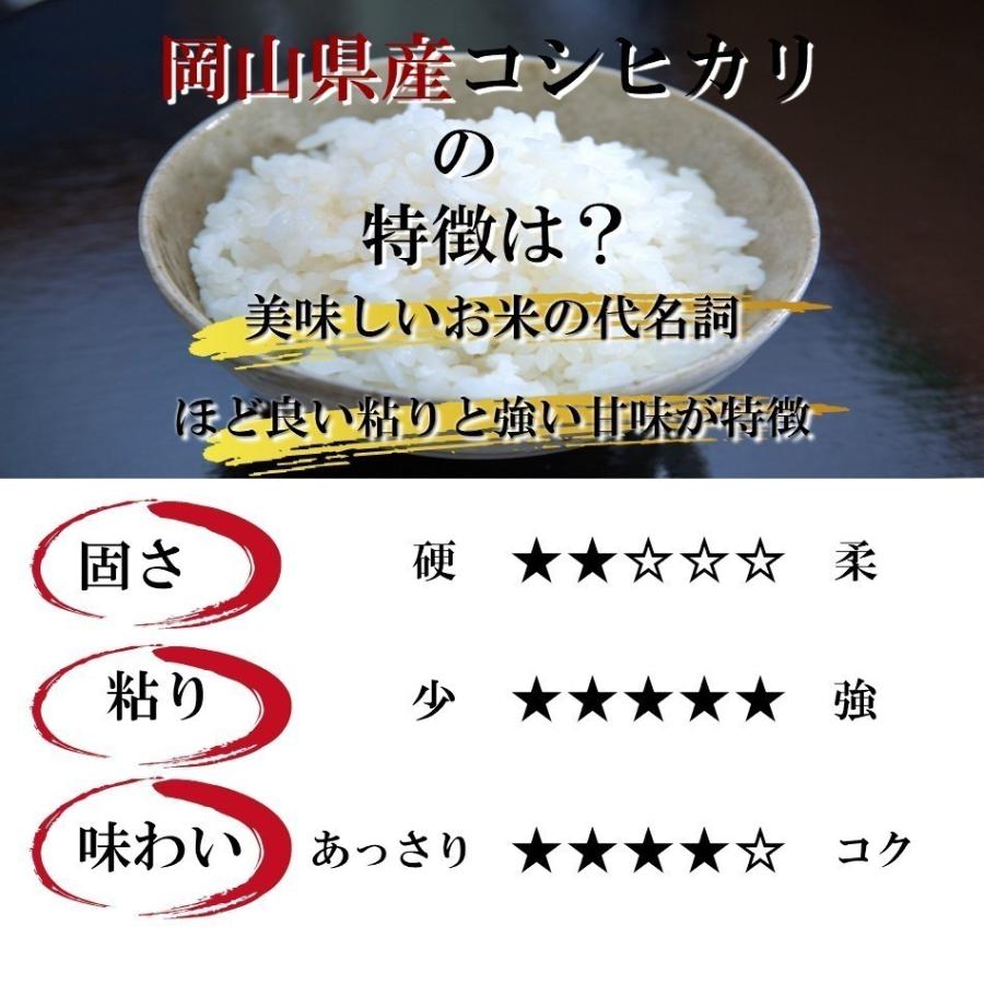 新米 令和5年産 岡山県産 コシヒカリ 900g  ポイント消化 白米 食品 お試しセット 1kg以下 メール便 国産 送料無料