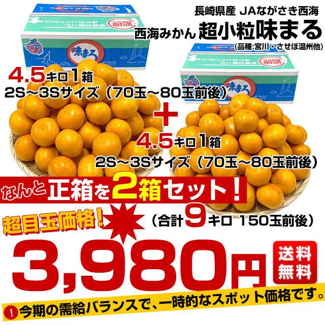 長崎県 JAながさき西海「味まる」2Sから3Sサイズ 超小粒4.5キロ×2箱（合計9キロ 150玉前後）送料無料　みかん ミカン 蜜柑 高糖度みかん