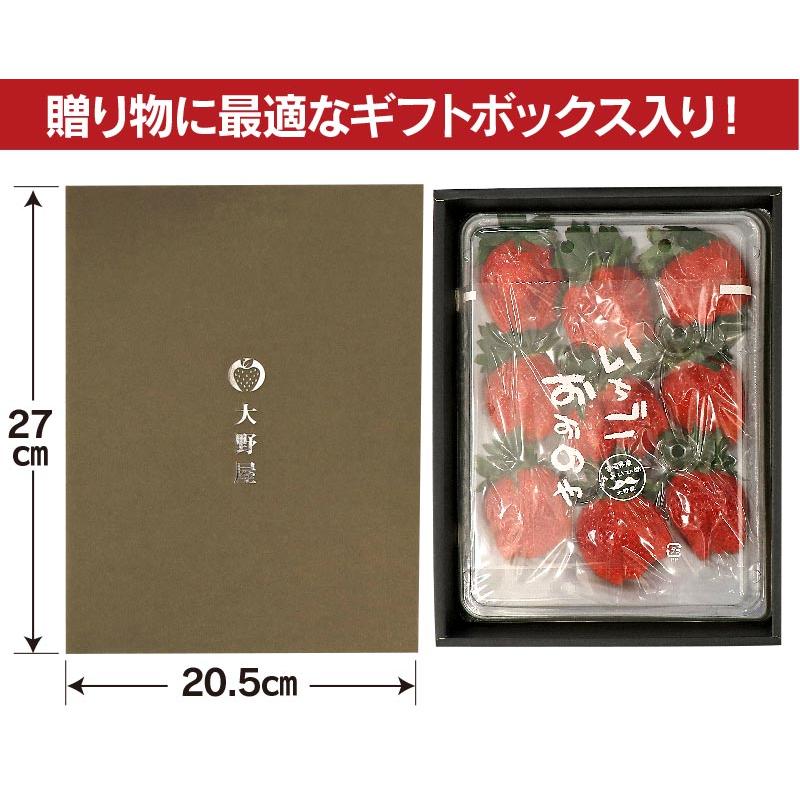 いちご 送料無料 やよいひめ 1パック イチゴ やよい姫 苺 宮崎産 ＜12月中旬より出荷予定＞ 農家直送 フルーツ 果物 大嶌屋（おおしまや）