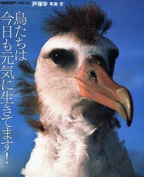 鳥たちは今日も元気に生きてます!　戸塚学 写真・文