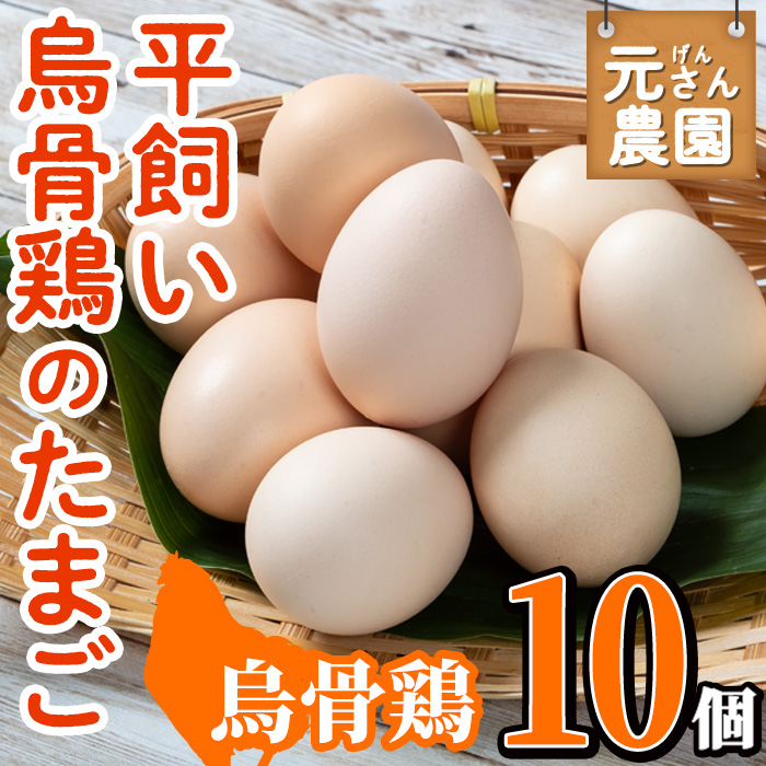 平飼い烏骨鶏のたまご (計10個) 元さん農園 卵 玉子 卵かけご飯 玉子焼き 平飼い 鶏 鶏卵 養鶏場直送 朝採れ 新鮮 大分県 佐伯市 