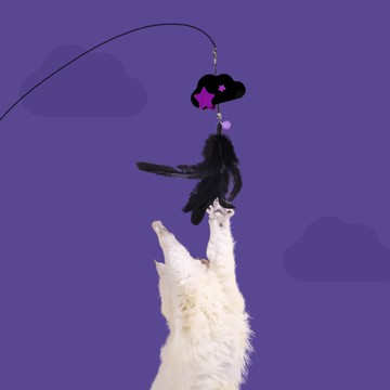 【LUUKS UP】飛上雲端彈跳逗貓棒 | 模擬鳥類在空中飛行的樣態