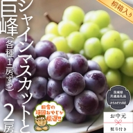  シャインマスカットと巨峰（各種1房ずつ）  （県内共通返礼品：かすみがうら市産） シャインマスカット 巨峰 ぶどう 果物 フルーツ 季節 旬 [BI408-NT]