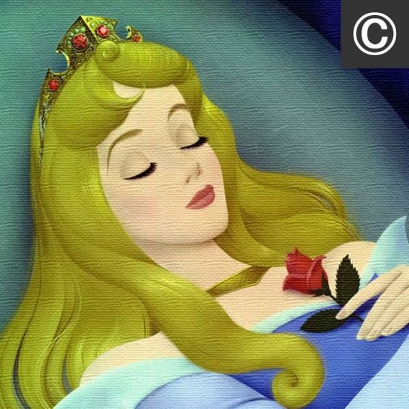 アートパネル ファブリックボード 白雪姫 眠れる森の美女