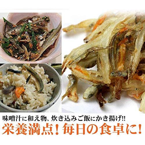 香川県伊吹島沖産　お徳用煮干しいりこ大羽5袋セット