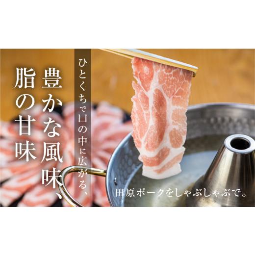 ふるさと納税 愛知県 田原市 国産 豚肉 食べ比べ 500g × 計 1kg しゃぶしゃぶ用 ロース バラ 冷凍 田原ポーク 小分け 100g ずつ 個包装