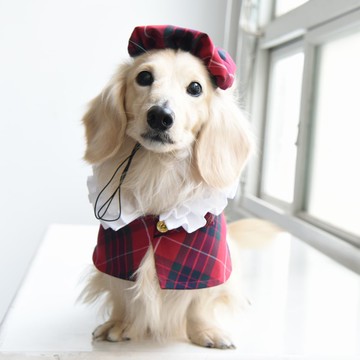 寵物皇室時尚套組 - 拉夫領 & 貝雷帽 -狗狗