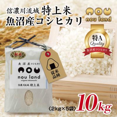 ふるさと納税 十日町市 農家直送 魚沼産 コシヒカリ 従来品種 2kg ×5袋 計10kg 新潟県 十日町市 のうランド