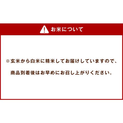 ふるさと納税 熊本県 菊池市 菊池 掛け干し 清流米 10kg にこまる 白米 お米