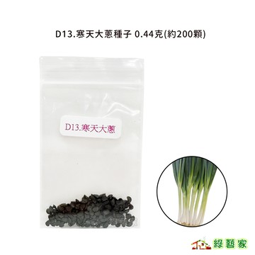 D13.寒天大蔥種子0.44克(約200顆)(F1，葉直立，深綠色，頸部緊實，株型美，蔥白亮白有光澤)蔥類【綠藝家】