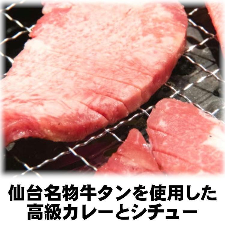 牛タン シチュー 2パック セット 送料無料 仙台 牛たん 名物 自宅 レトルト 家庭 簡単調理 常温 メール便