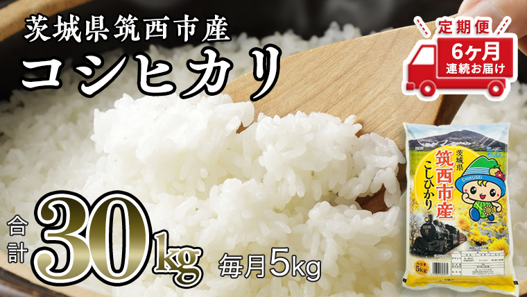  茨城県筑西市産 コシヒカリ5kg 米 コメ こしひかり 定期便6回 30kg 茨城県 単一米 精米 [CH006ci]