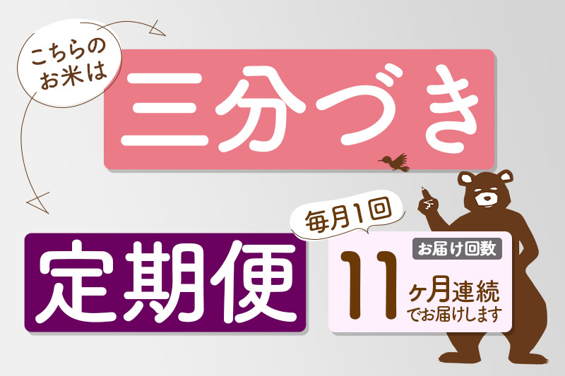 《定期便11ヶ月》＜新米＞秋田県産 あきたこまち 4kg(2kg小分け袋) 令和5年産 配送時期選べる 隔月お届けOK お米 おおもり|oomr-50211