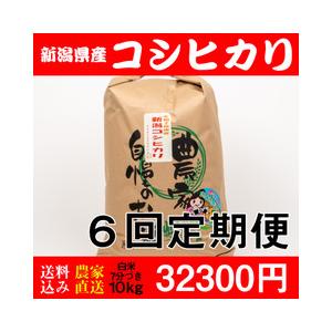 お米 10kg 白米 送料無料 新潟県糸魚川産 コシヒカリ 新米 精米7分 令和5年度産 6回定期便