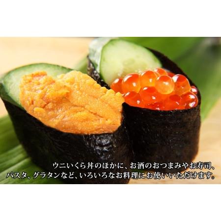 ふるさと納税 1768.  うに 100g いくら醤油漬け 200g ウニ チリ産 冷凍 いくら 二色丼 雲丹 イクラ 海鮮 海鮮丼 うに丼 いくら丼 いくら醤油漬.. 北海道弟子屈町