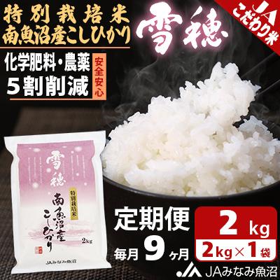 ふるさと納税 南魚沼市 特別栽培米南魚沼産こしひかり「雪穂」 精米 2kg 全9回