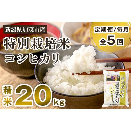 ふるさと納税 新潟県加茂市産 特別栽培米コシヒカリ 精米20kg（5kg×4 ...