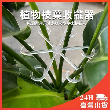 植物莖支架 一組四入 盆栽收攏架 花梗支架 支撐 觀葉植物防倒 植物花架 植物支撐桿 陽台花架 園藝支架 蘭花支架 花盆