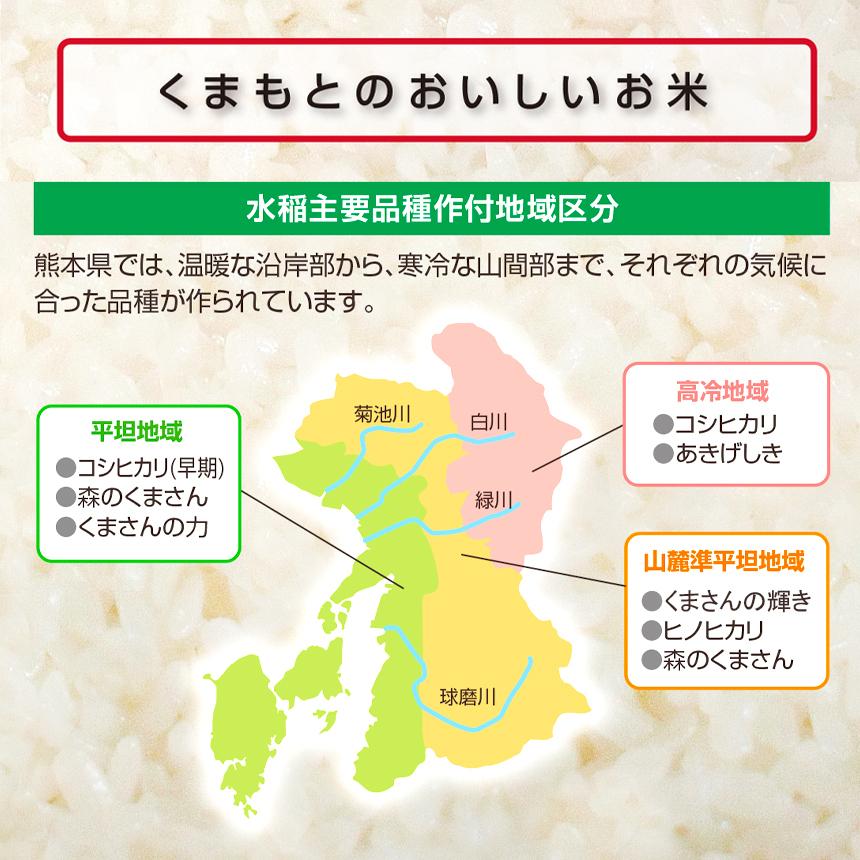 熊本県産 天恵米 10kg コシヒカリ お米 精米 白米 5kg×2袋  国産