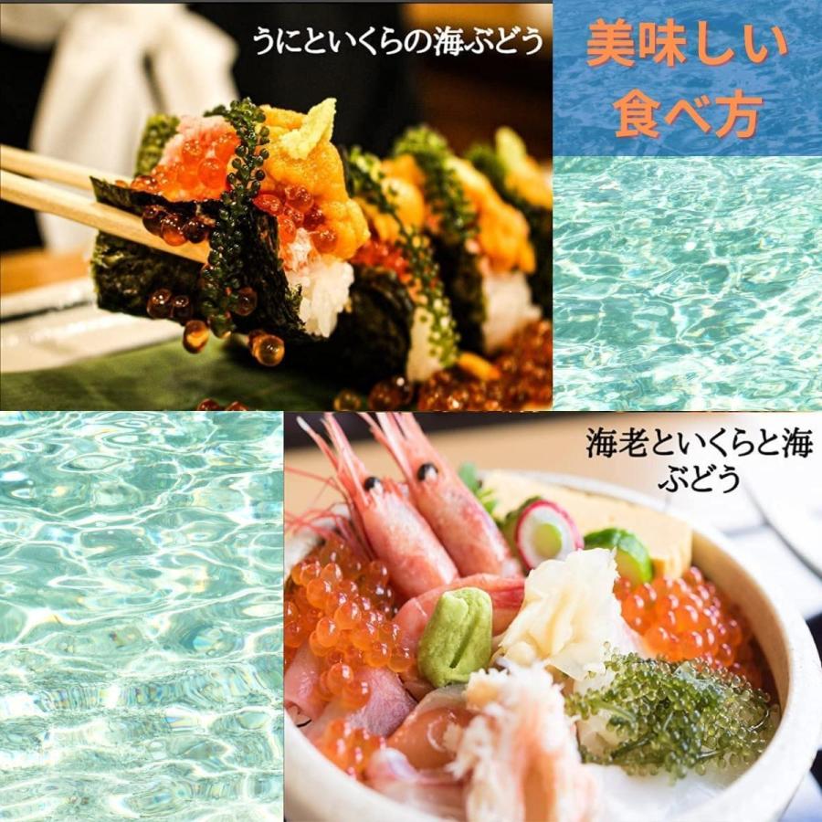 送料無料 海ぶどう 沖縄県産 海ぶどう タレ付き A級品大粒 海洋深層水で育てた ポイント消化 食品 おすすめ