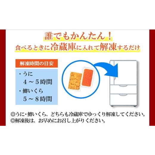 ふるさと納税 北海道 弟子屈町 1958. うに チリ産 冷凍 100g 鱒いくら醤油漬け 100g セット ウニ 雲丹 ますいくら 鱒 マス イクラ いくら いくら醤油漬け 海鮮…