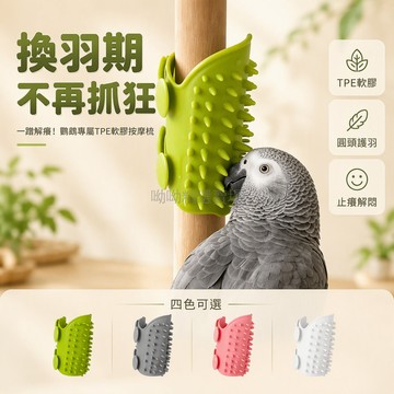 台灣出貨✨ 鸚鵡蹭癢器 鳥用解悶玩具 玄鳳牡丹小太陽 互動訓練按摩 寵物鳥類專用 磨爪梳毛工具