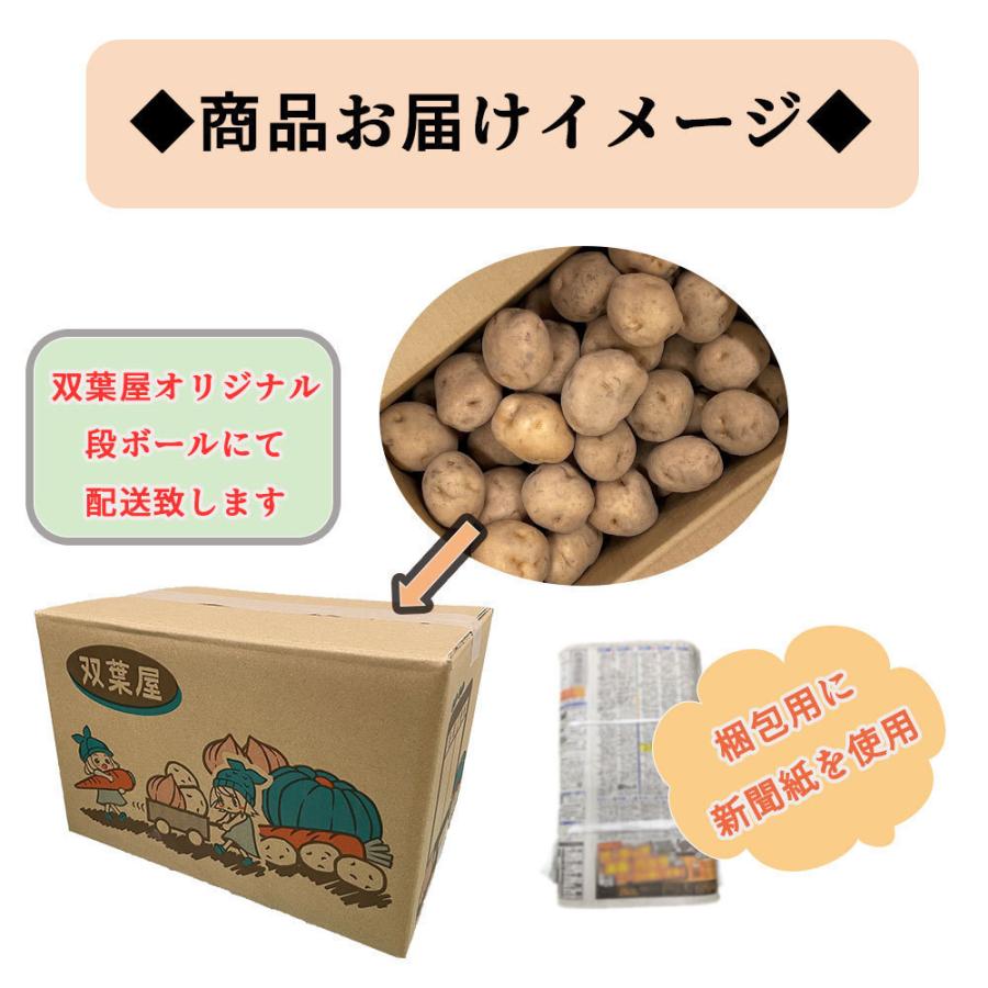 北海道産 北あかり 訳あり 食品ロス S〜Lサイズ混合 2kg  送料無料 じゃがいも 馬鈴薯