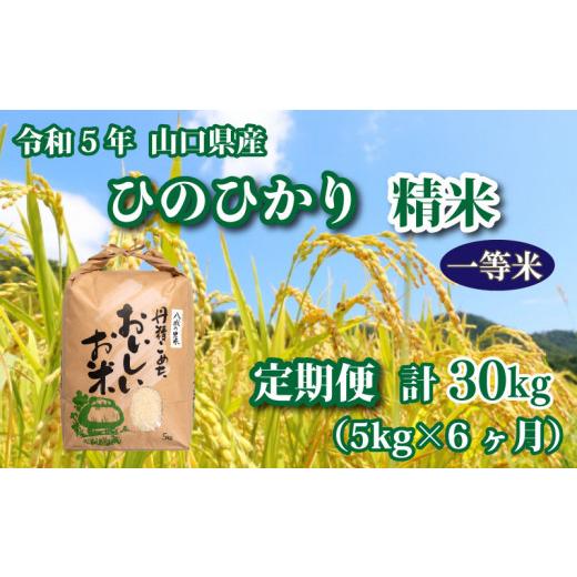 ふるさと納税 山口県 下関市 令和5年 山口県産 ひのひかり 精米 5kg×6回