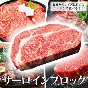 お歳暮 牛肉 サーロイン 近江牛 ブロックカット 整形 1kg 送料無料