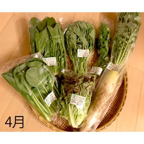 さんぶの有機野菜セット ６品_s30