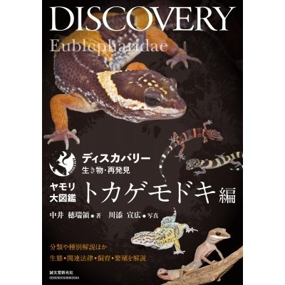 ヤモリ大図鑑トカゲモドキ編 分類や種別解説ほか生態・関連法律・飼育・繁殖を解説 ディスカバリー生き物