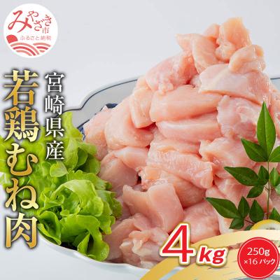 ふるさと納税 宮崎市 宮崎県産若鶏むね肉4kg(250g×16P)※小分け・カット済・真空冷凍