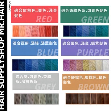 🇹🇼現貨秒出 補色洗髮精 洗髮精 護色洗髮精 矯色洗髮精 【髮品先生】